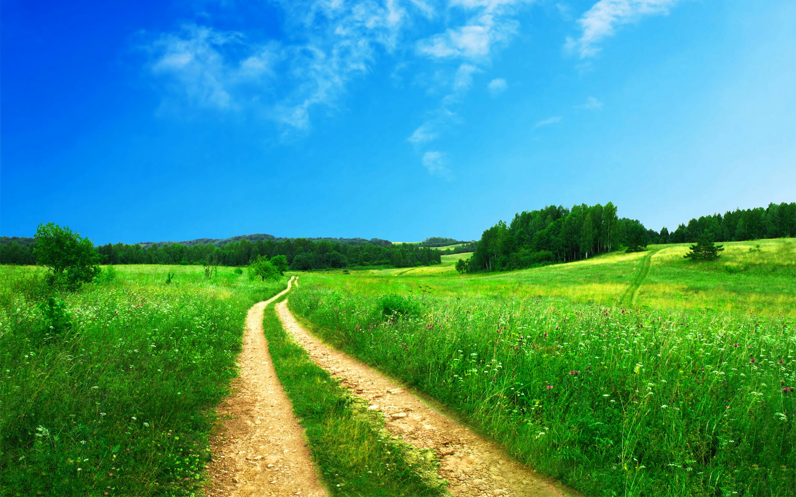 A path through open country curving toward a distant horizon at golden hour